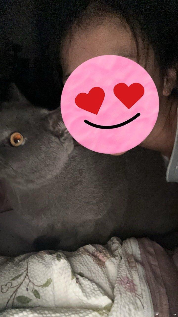 小猫咪！！！！​
