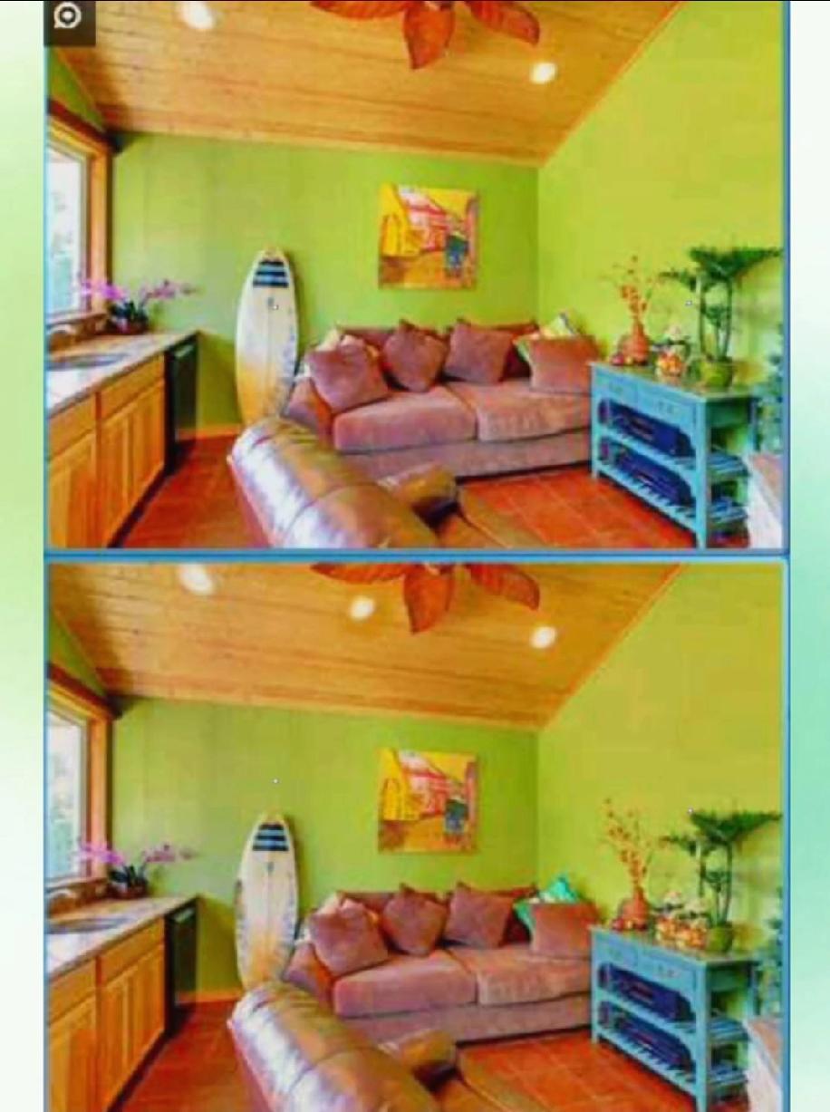 这两张图藏了几处不同？我盯了5分钟只看出1处，你能找出全部吗？