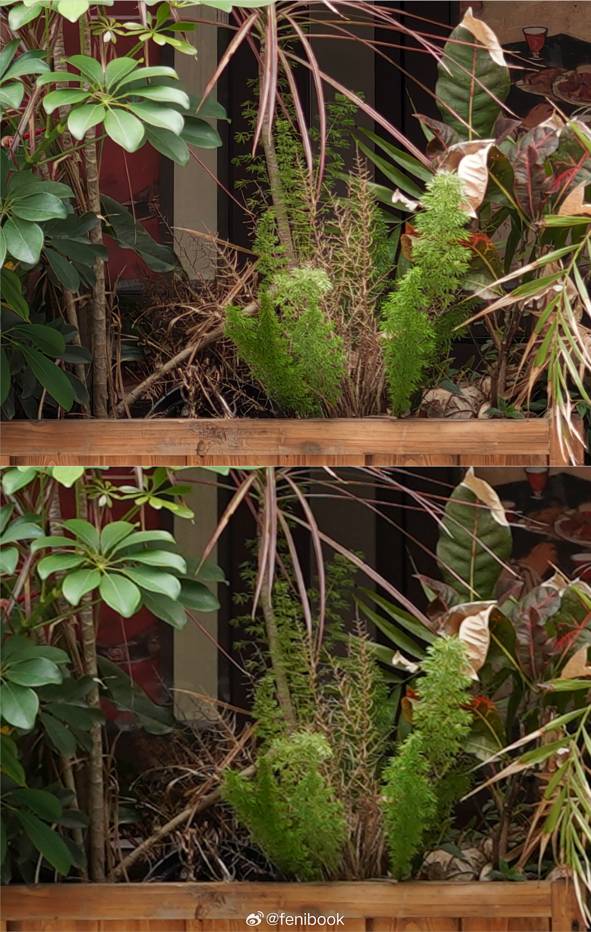 vivoX300Ultra对比索尼A7M3➕2470GM2，手机对比全画幅