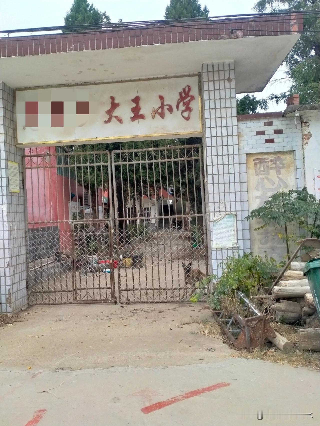 再过几年,最值钱的既非黄金,亦非珠宝,而是孩子,尤其是男孩子。当下,人口已然呈