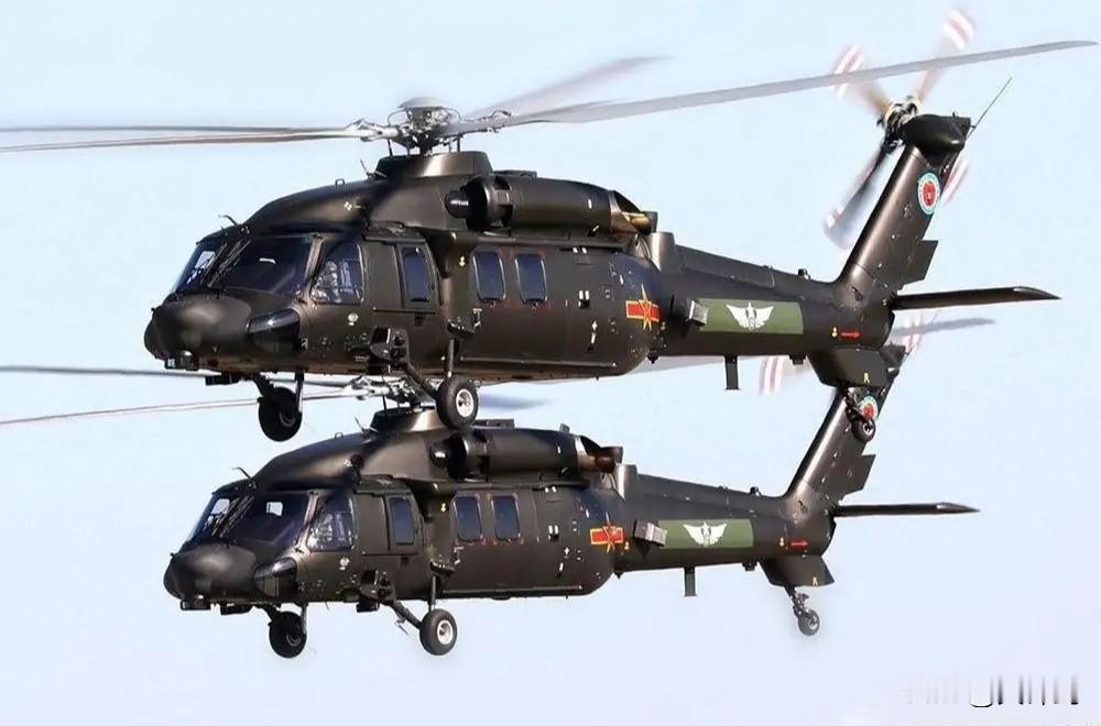 -20：中国直升机领域的“全能先锋”在直升机发展的赛道上，直-20无疑是