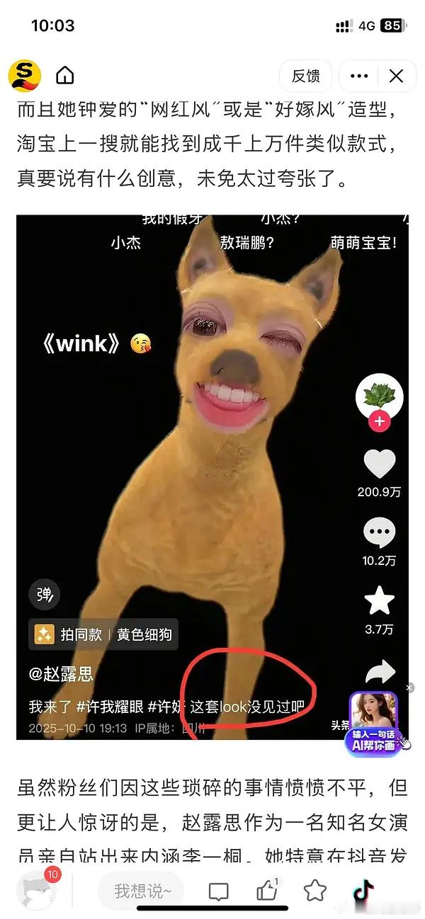 赵露思粉丝屠李一桐广场，竟是因为一句“look没见过”？
