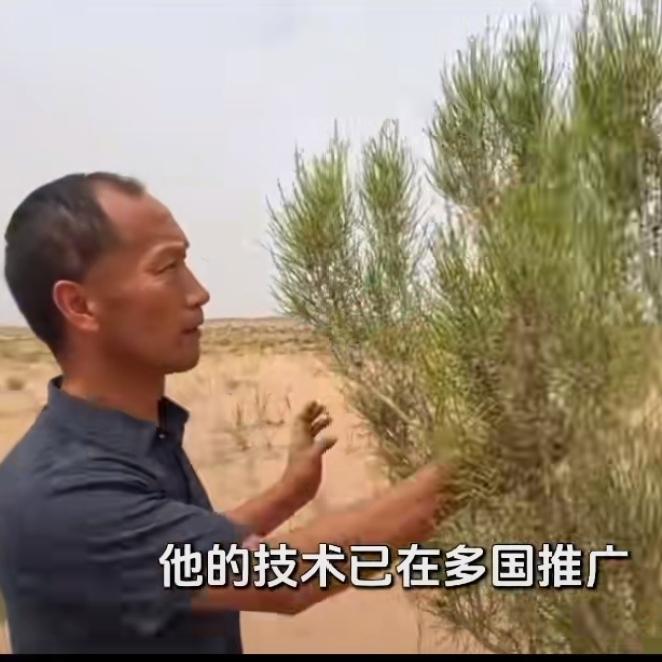 震惊全球！山西农民苦研15年，用中国草根智慧改写世界治沙史谁能想到？让全球
