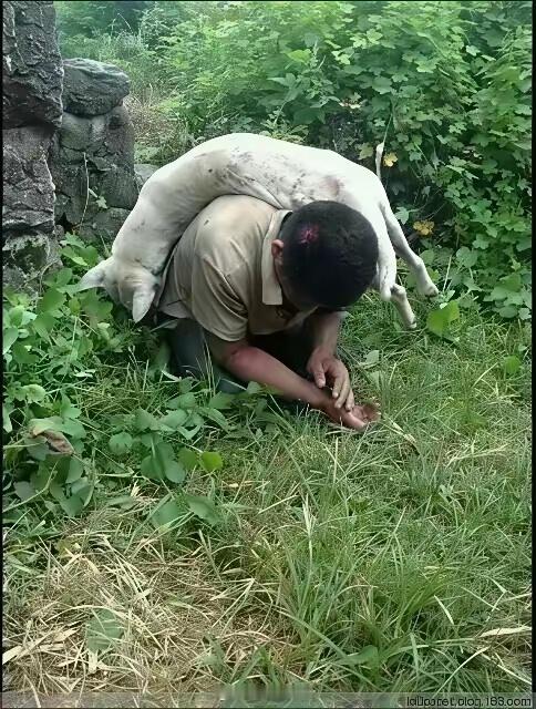 当年，被人们抓住的偷狗贼。