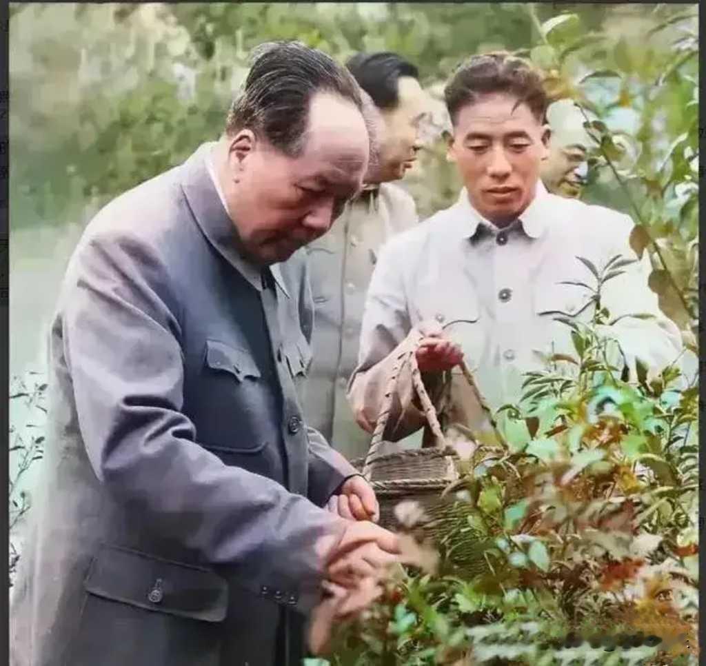 赏析：这幅对联的下联“一身正气”与上联“两袖清风”相呼应，共同描绘了廉洁正直的形