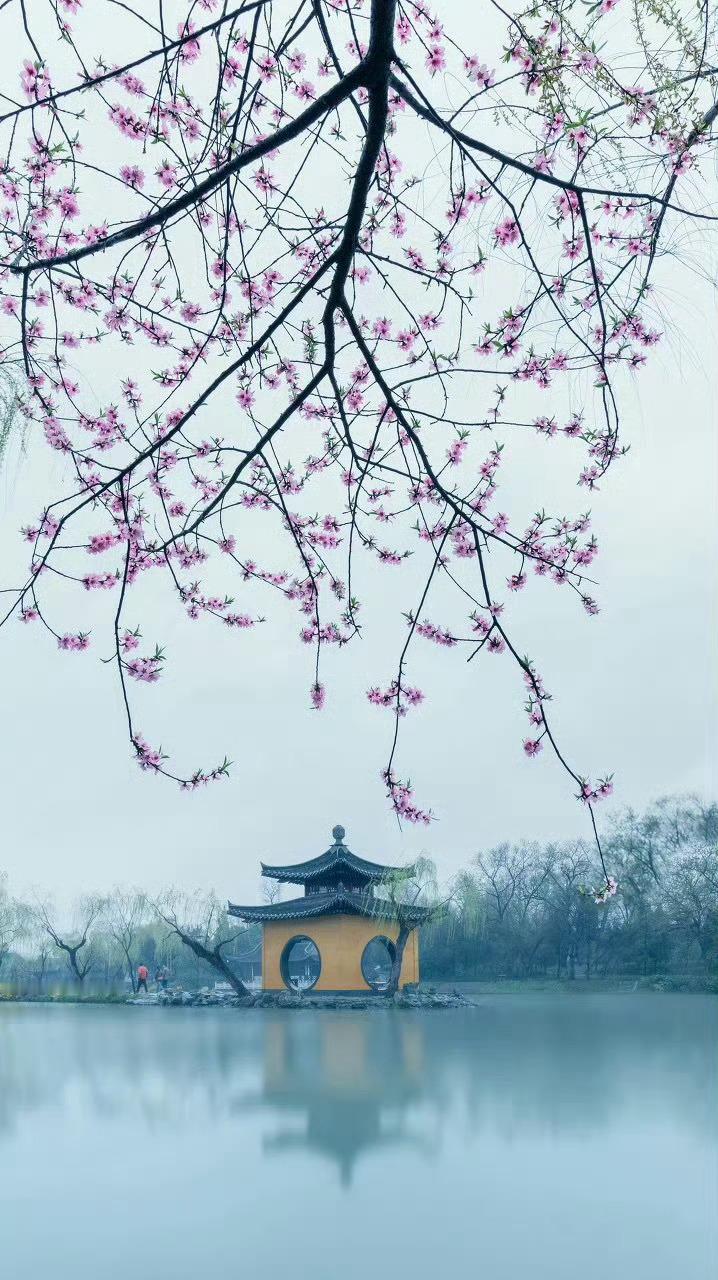 扬州，只有到了柳絮纷飞，烟雨濛濛之时，扬州的婉约才能衬托出来。