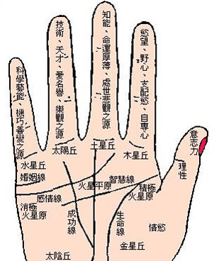 梦见老人去世，梦境背后的深层含义与心理解析