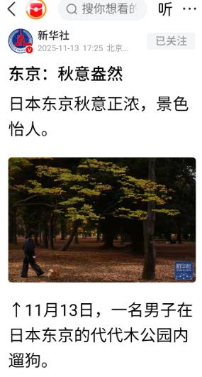 正当全国人民都在批斗日本首相高市早苗之时，新华社突然发了一组日本东京代代木公园的