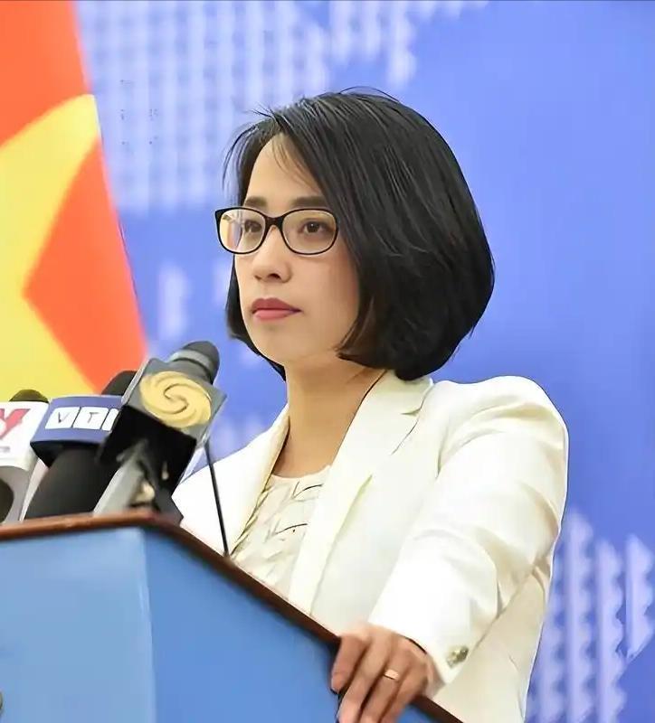 越南外交部发言人的话，掷地有声：“任何未经许可在黄沙群岛（我西沙群岛）的活动，都