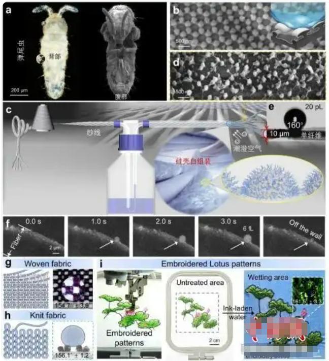 🔬中国科学家研发无氟超疏水织物，户外党狂喜！据中国科学院理化技术研究所23