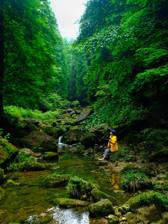 夏日超凉爽💦被严重低估的徒步宝藏地！