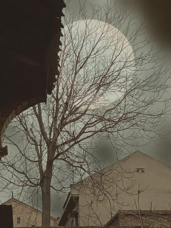 🌞[玫瑰]风风，雨雨，是岁月。走走，看看，是人生。健健康康，是底气。平平安