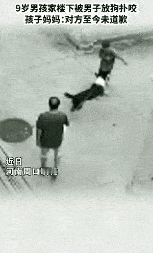 ​看了这个视频，让人非常气愤。哪有这样冷酷无情的狗主人？自己家的狗恶咬人，竟然无