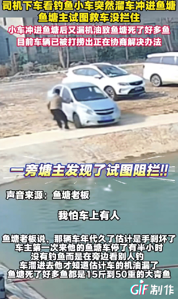 “太离谱啦”！3月25日，江苏徐州，一车主把车停在鱼塘边，当时他可能手痒，或者好