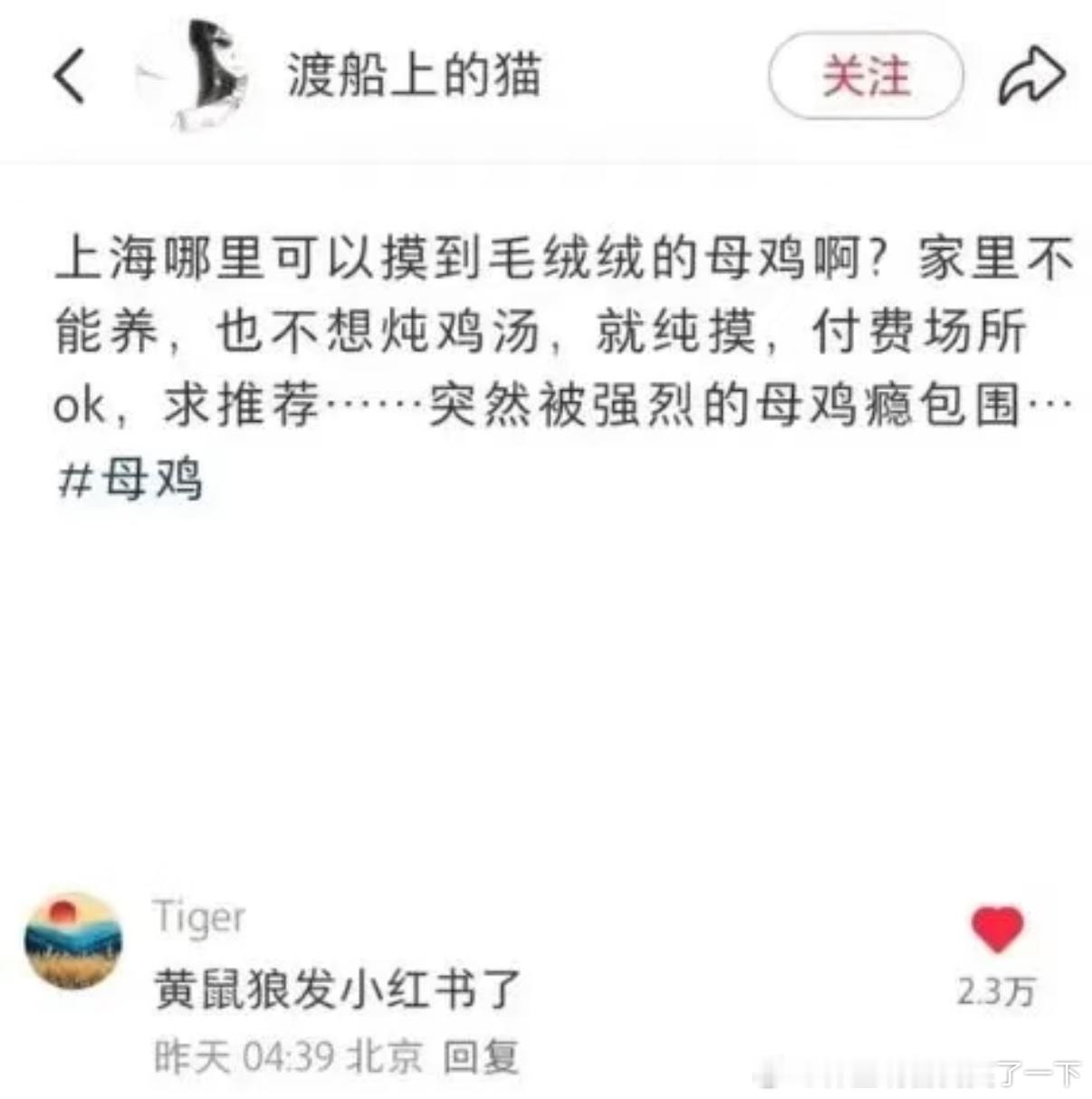 5491哈哈哈哈黄鼠狼哈哈哈​​​