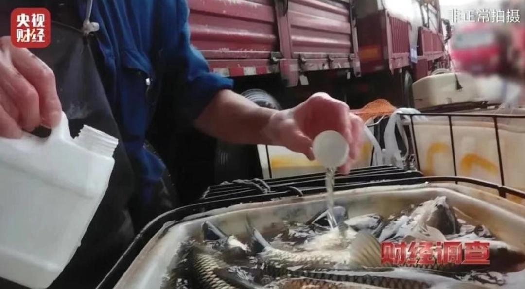 太气愤！吃的活鱼竟被偷偷灌麻药！2026年3月22日，央视新闻曝光多地水产