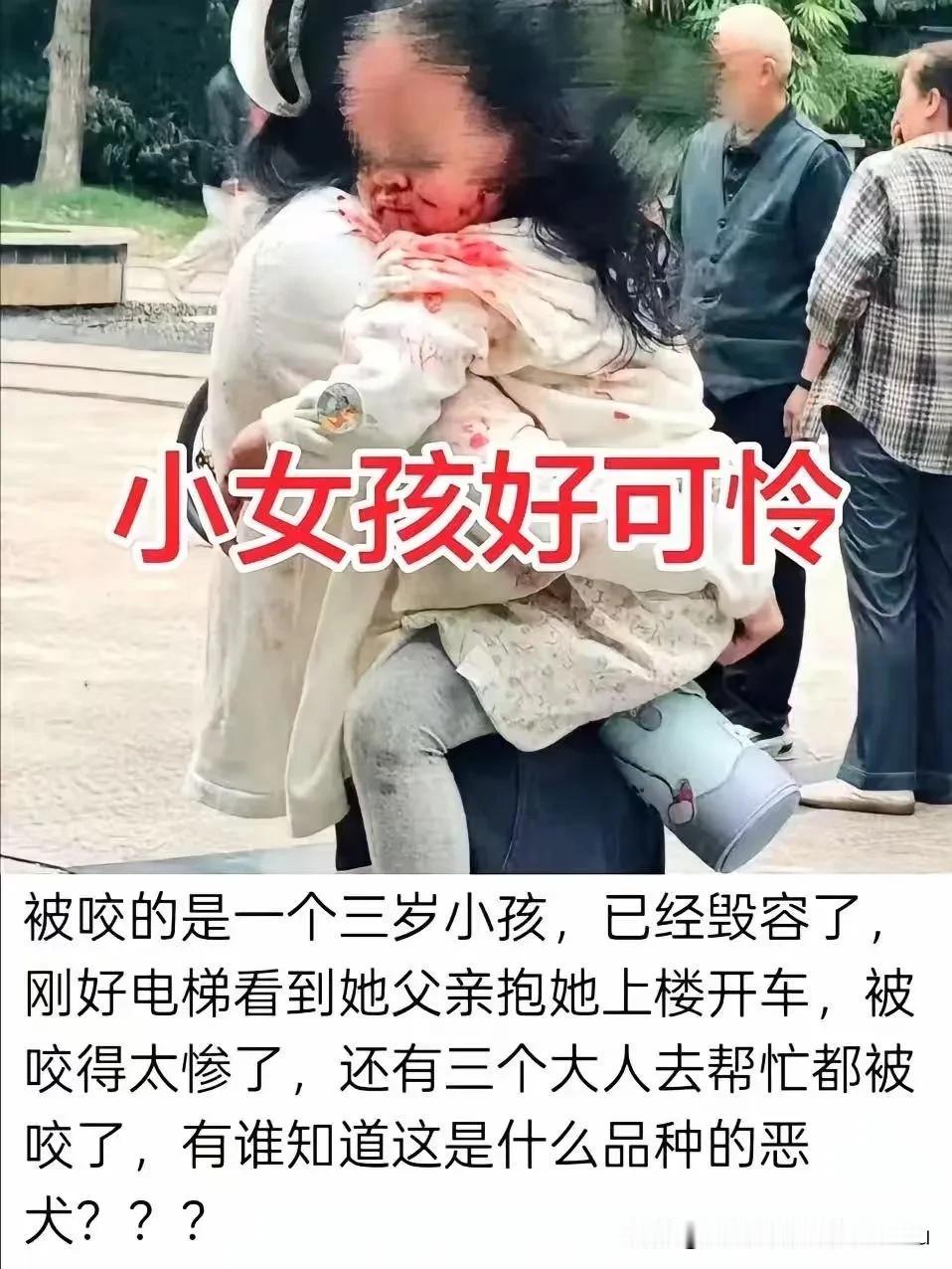 城市不让养猪，我理解，城市不让开摩托车，我理解城里不让养猪、禁摩托、不让