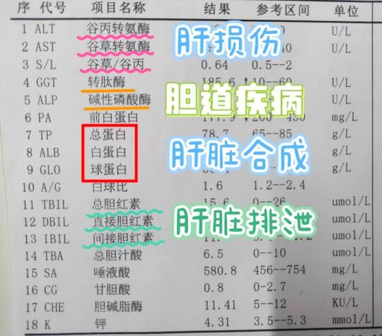 肝功能异常！不超过这4个数字，放心，你的肝脏基本没什么大问题！ 1：转...