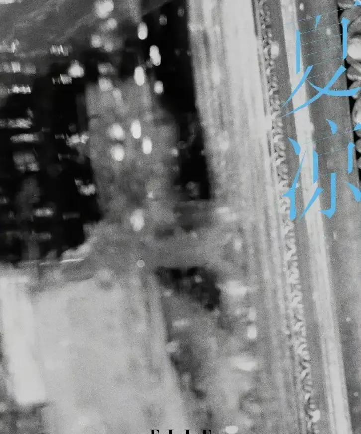 别家抢破头的封面，他家直接锁了三年。你发现没？ELLE那个三年没给过任何人