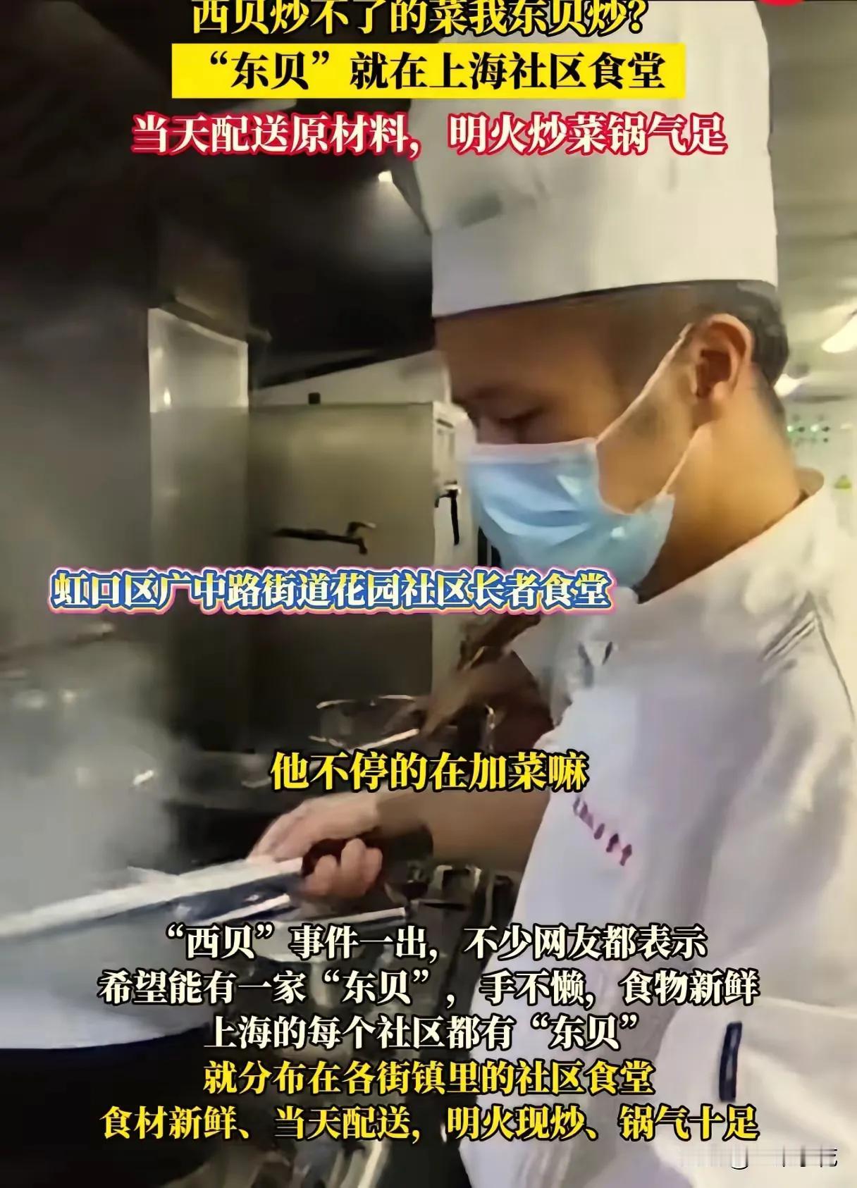 “你炒不了的菜，我东贝来炒”！这广告语，就像一颗突然扔进水里的炸弹，“轰”地一下