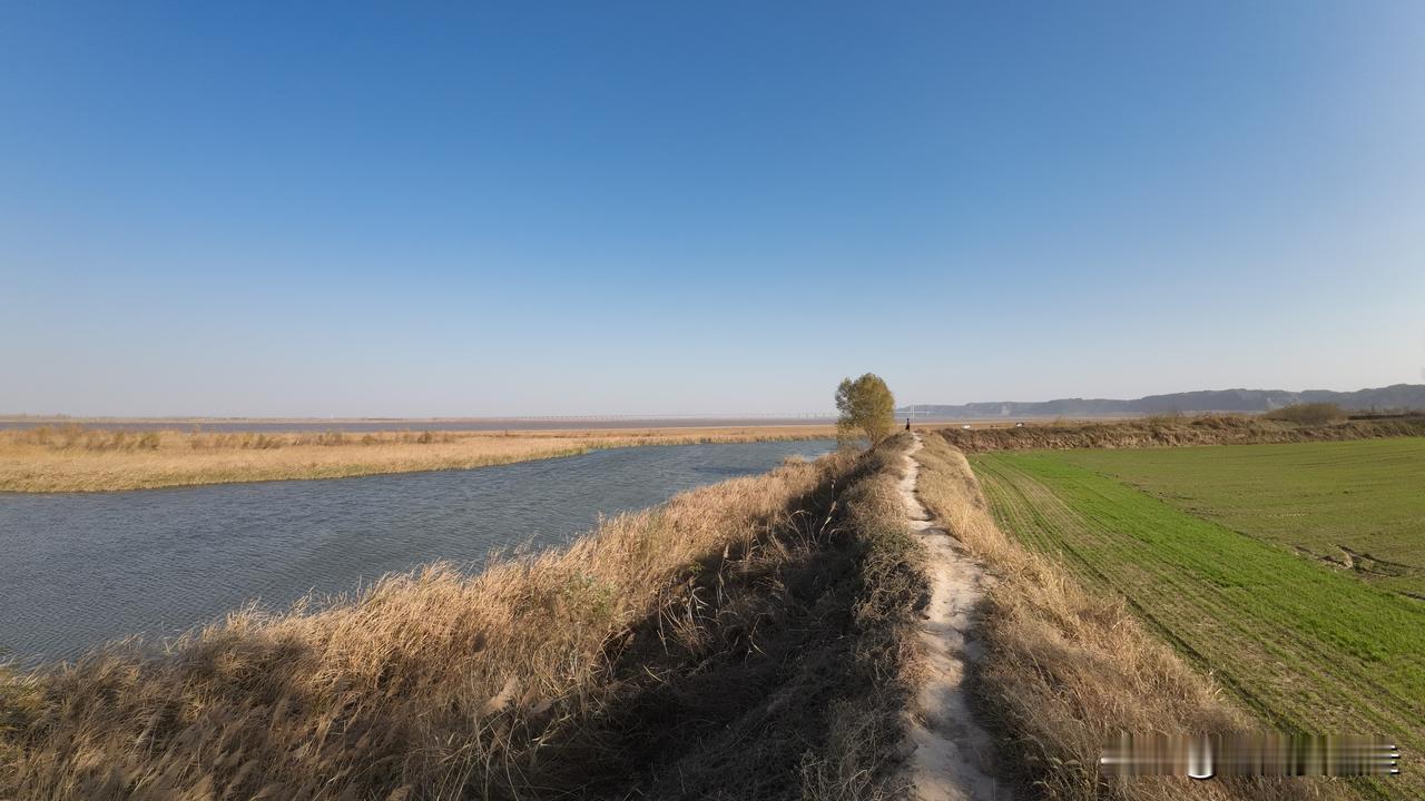 水边行路远，田间绿意浓。郑州周边游冬季冬季的黄河岸最美一瞥，荥阳广武山后王沟老村