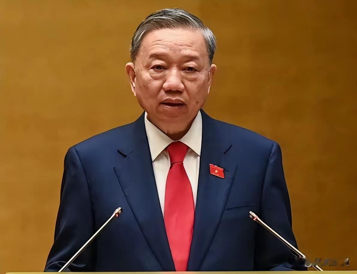 刚从中国回去的苏林，转头发现越南面临大麻烦苏林刚从中国访问回去，还没来得及稳