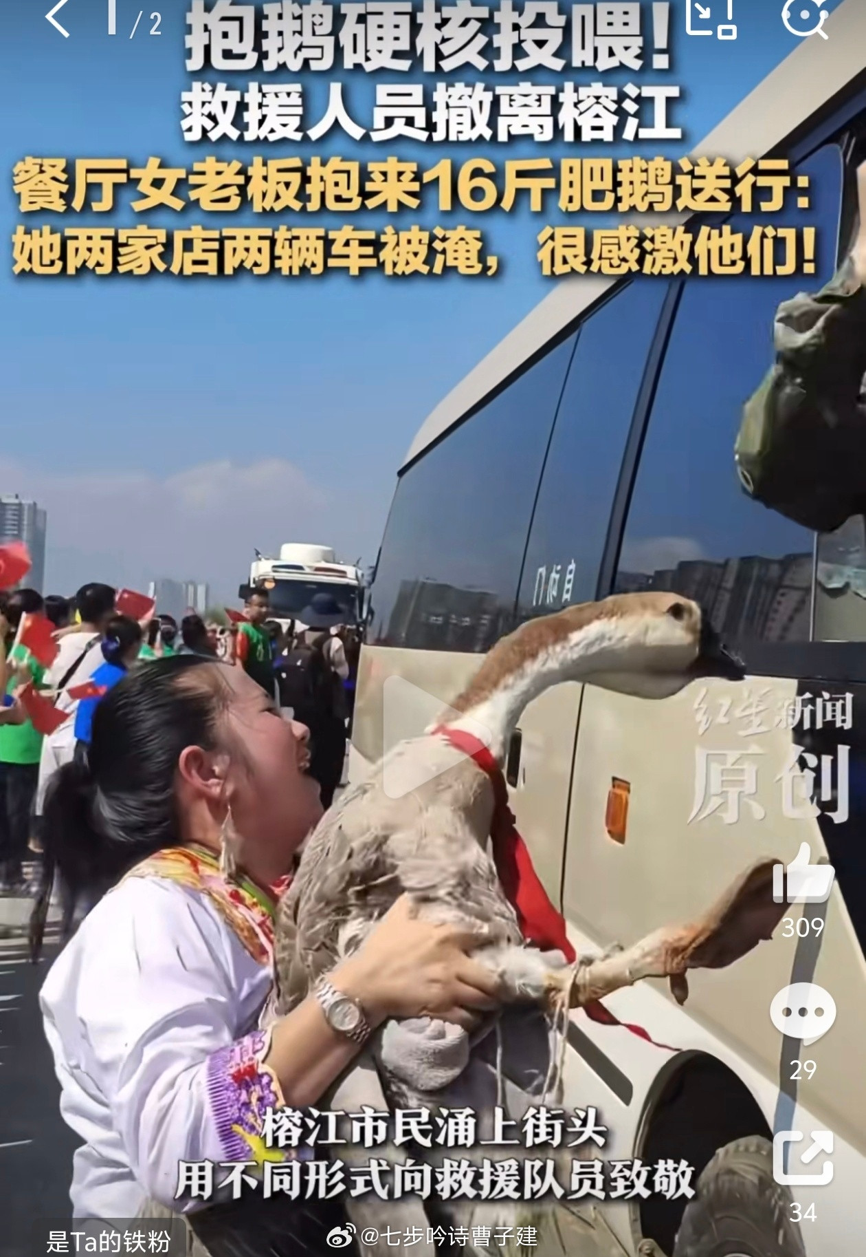 军民鱼水情投喂食物也算是优良传统了