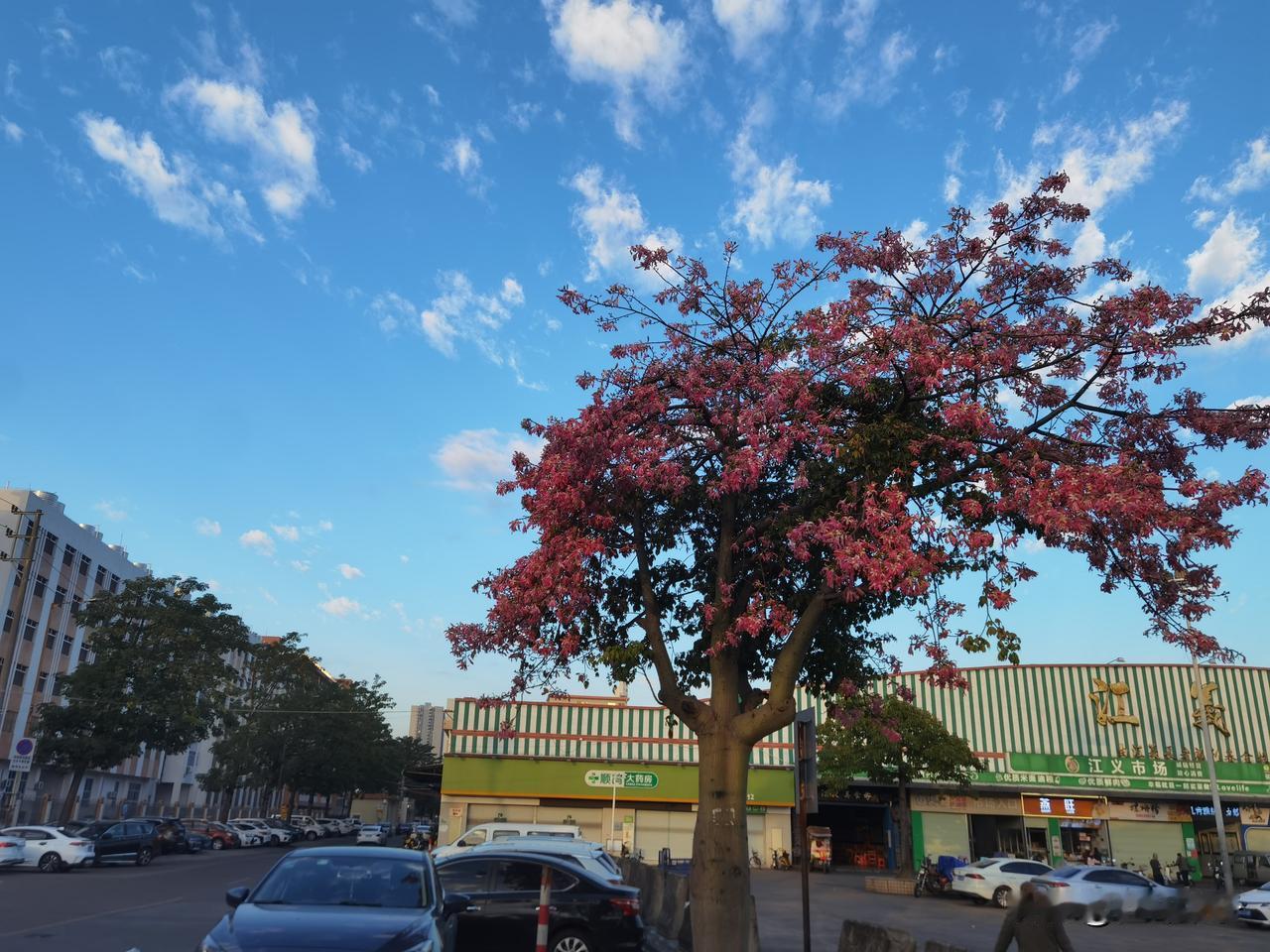 小熊回怼网友：没有我老公，她（许敏）不会如此幸福！有网友在直播间对小熊说，你