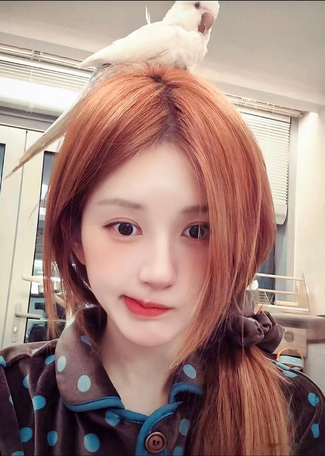 露思直播头像合集~像极了执着于自己给自己出表情包的闺蜜哈哈哈，而且咱闺蜜脸上开始