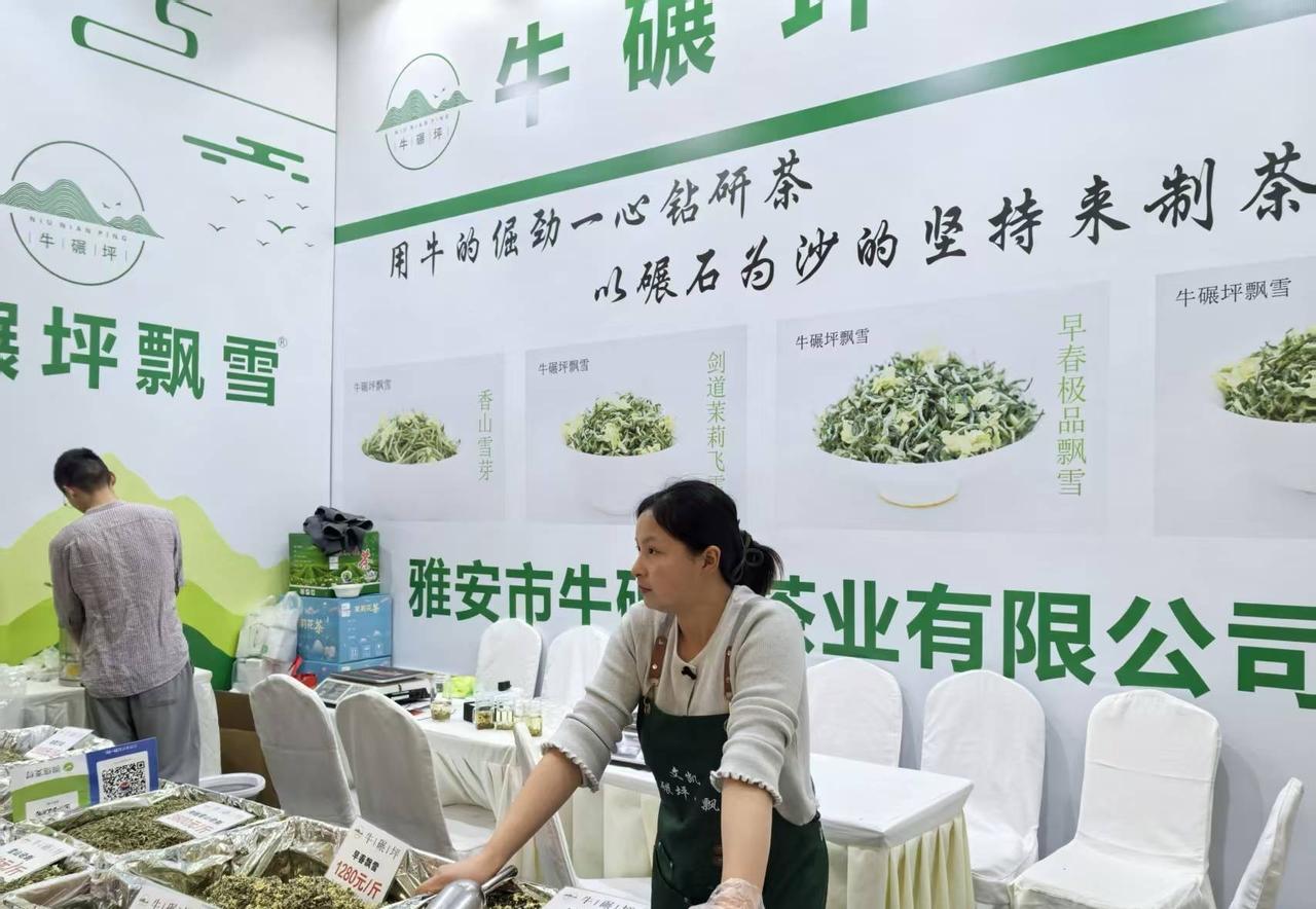 刚从北京茶博会回来，逛了整整一上午，心里反而有点不是滋味。人确实不少，700