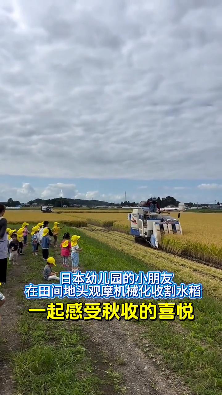 日本幼儿园的小朋友在田间地头观摩机械化收割水稻，一起感受秋收的喜悦。