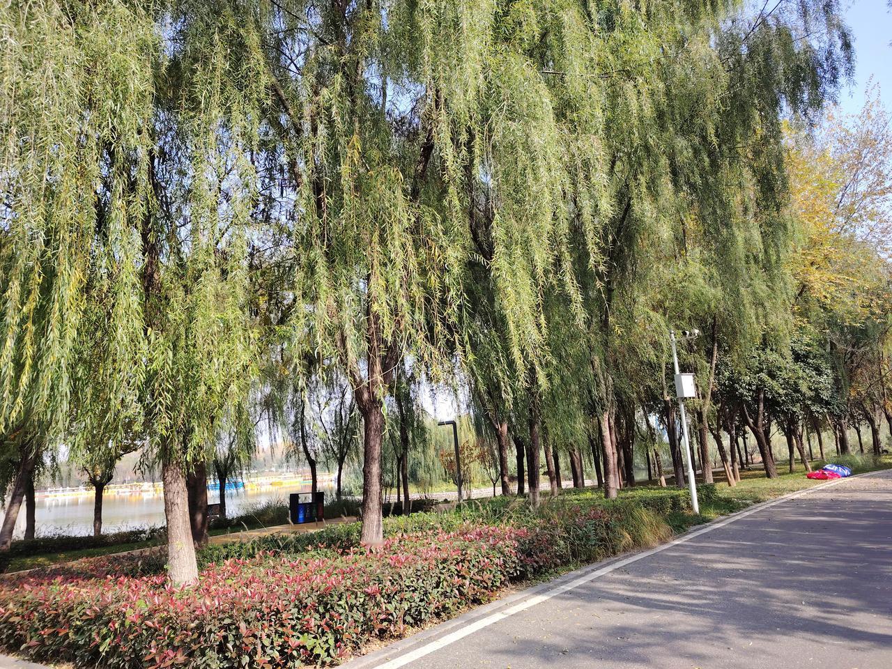 我家乡有位领导，检查工作极为细致，总能察觉旁人难以发现的问题。到学校检查卫生时，