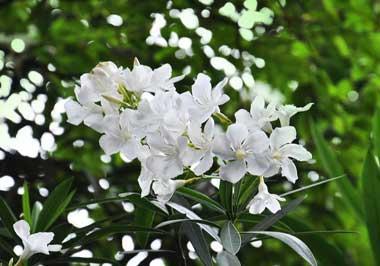 19岁少年错付1010元车费自杀！司机拒退还泼脏水，法院判决太意外19岁河南小