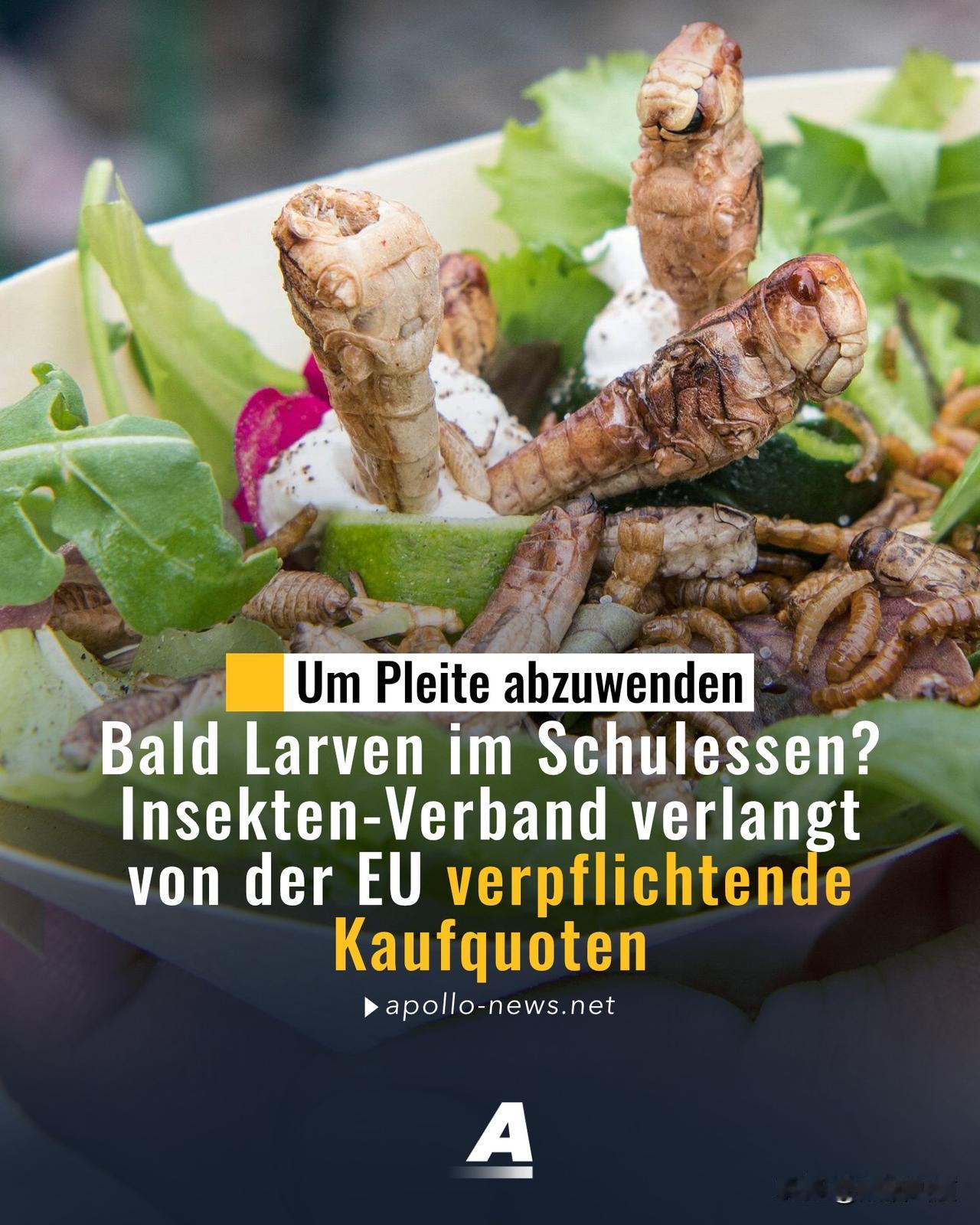 未来欧洲各国公立学校内将不得不出现昆虫肉类餐食。这不是耸人听闻，国际昆虫食品