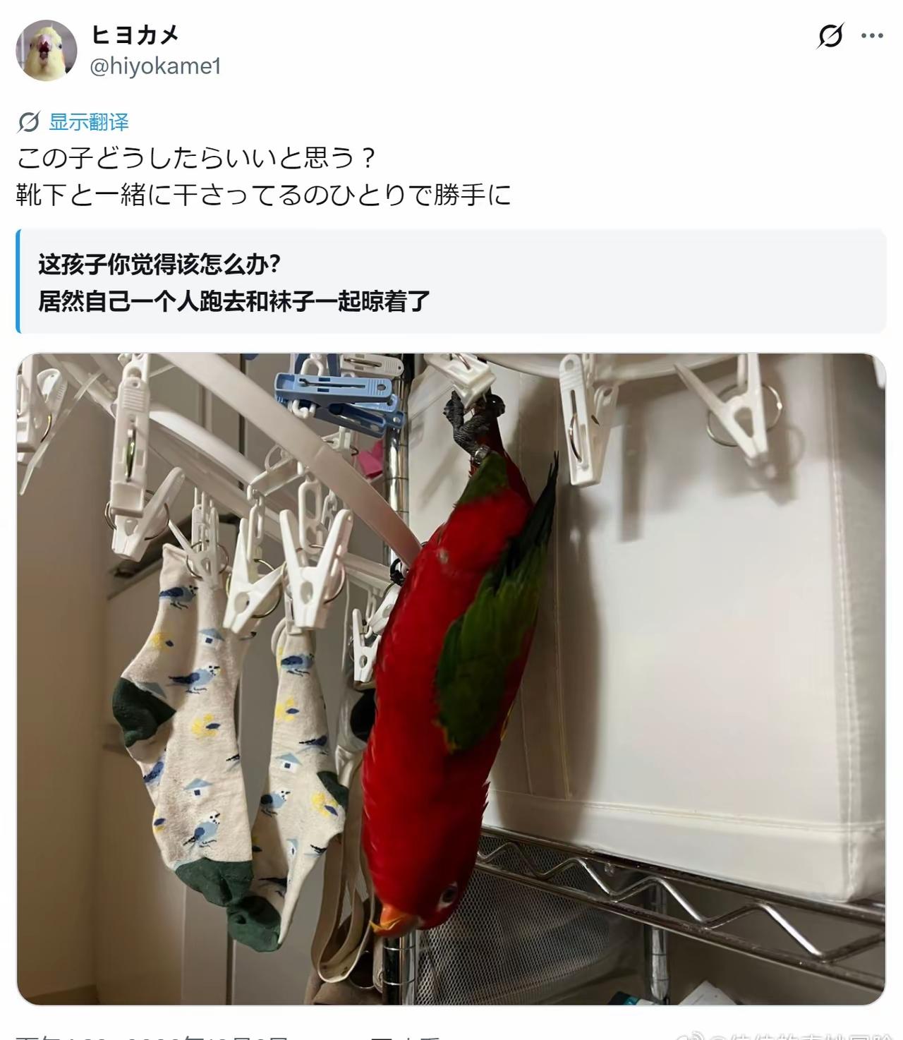 这啥家庭啊？