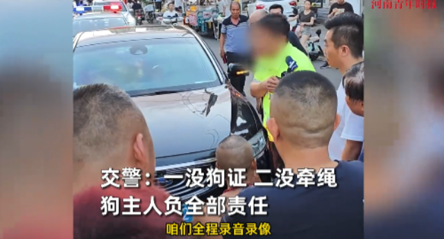“自作孽！”2025年7月21日，河北，一男子遛狗却不栓狗绳，狗狗不幸被车撞死，