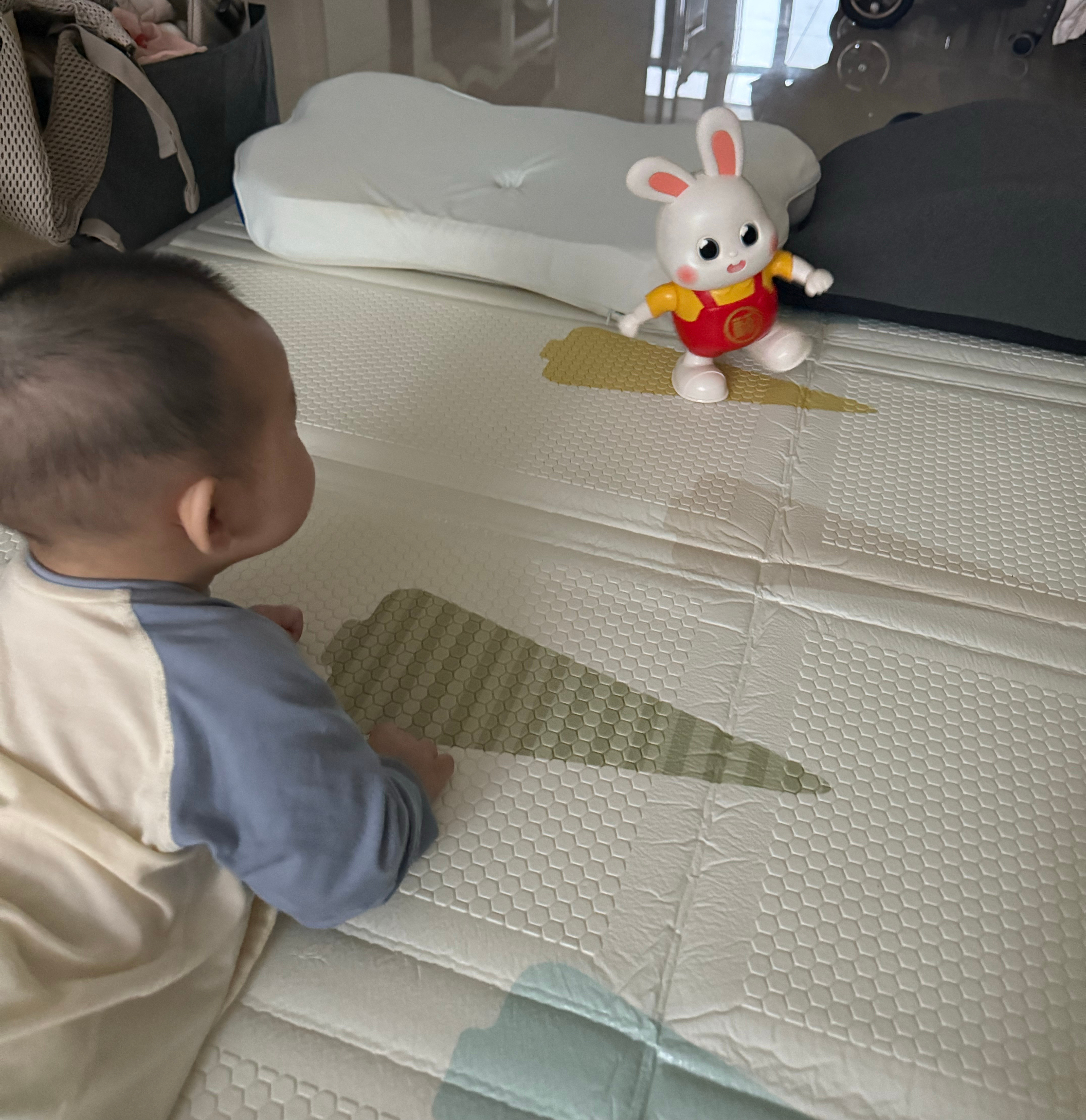 小兔子🐇一早就上班了​​​