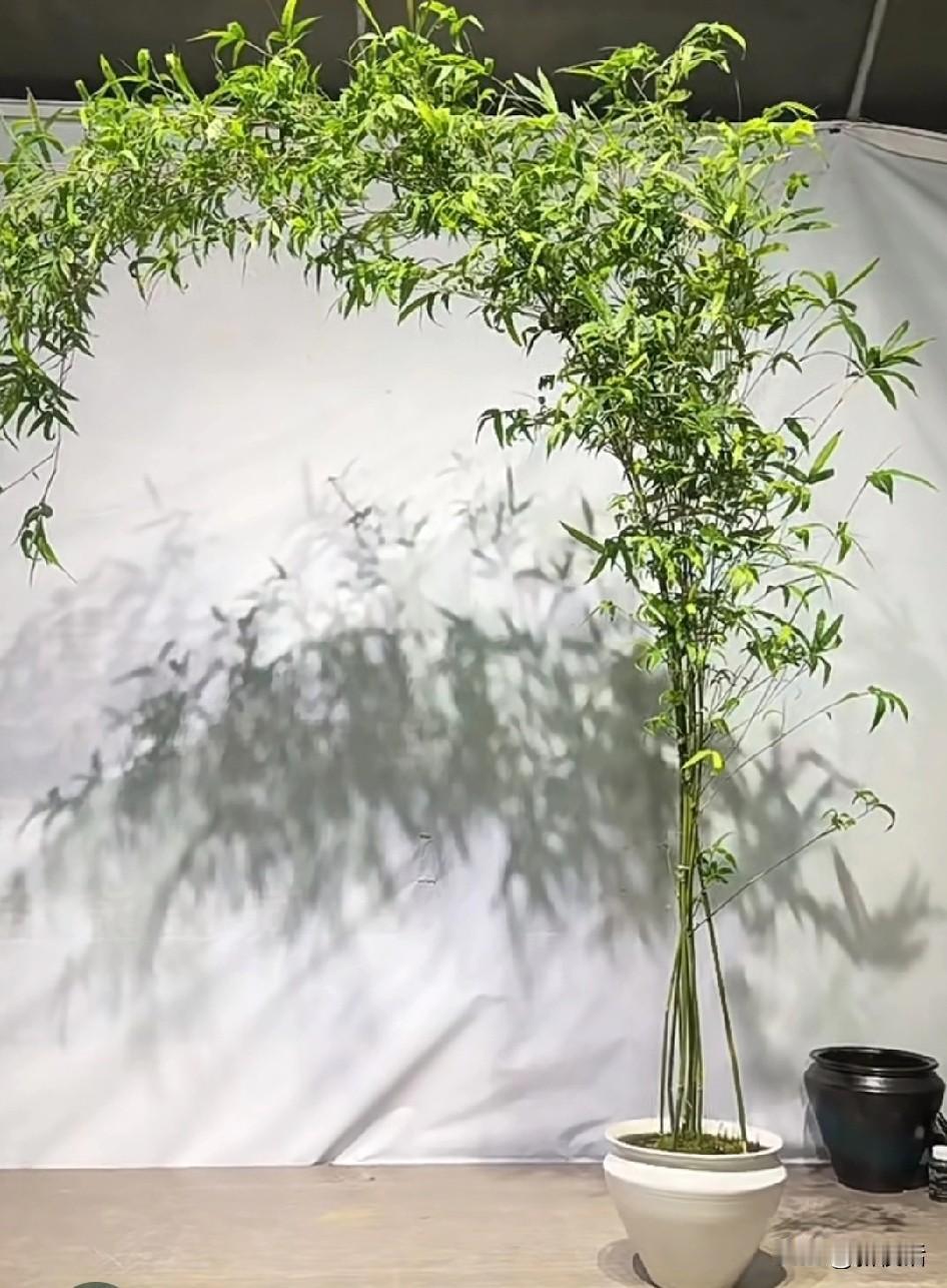 总有人告诉退休的人你最应该做的几件事其实就是一件事，让你成为孤家寡人什么远