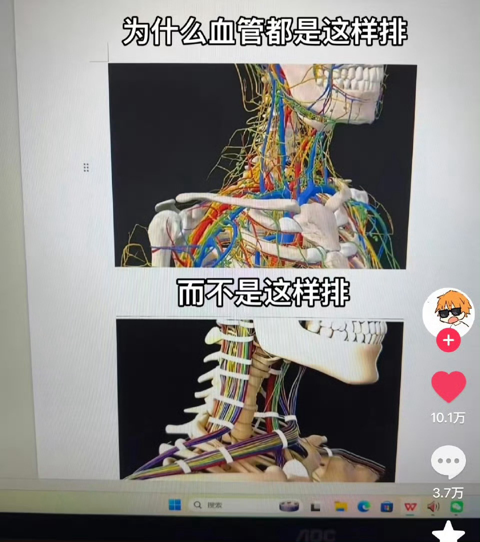 因为女娲不是一个好电工……​​​