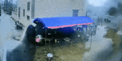 可怜的狗狗，先被套牢，然后被封(风）杀[捂脸哭][捂脸哭]