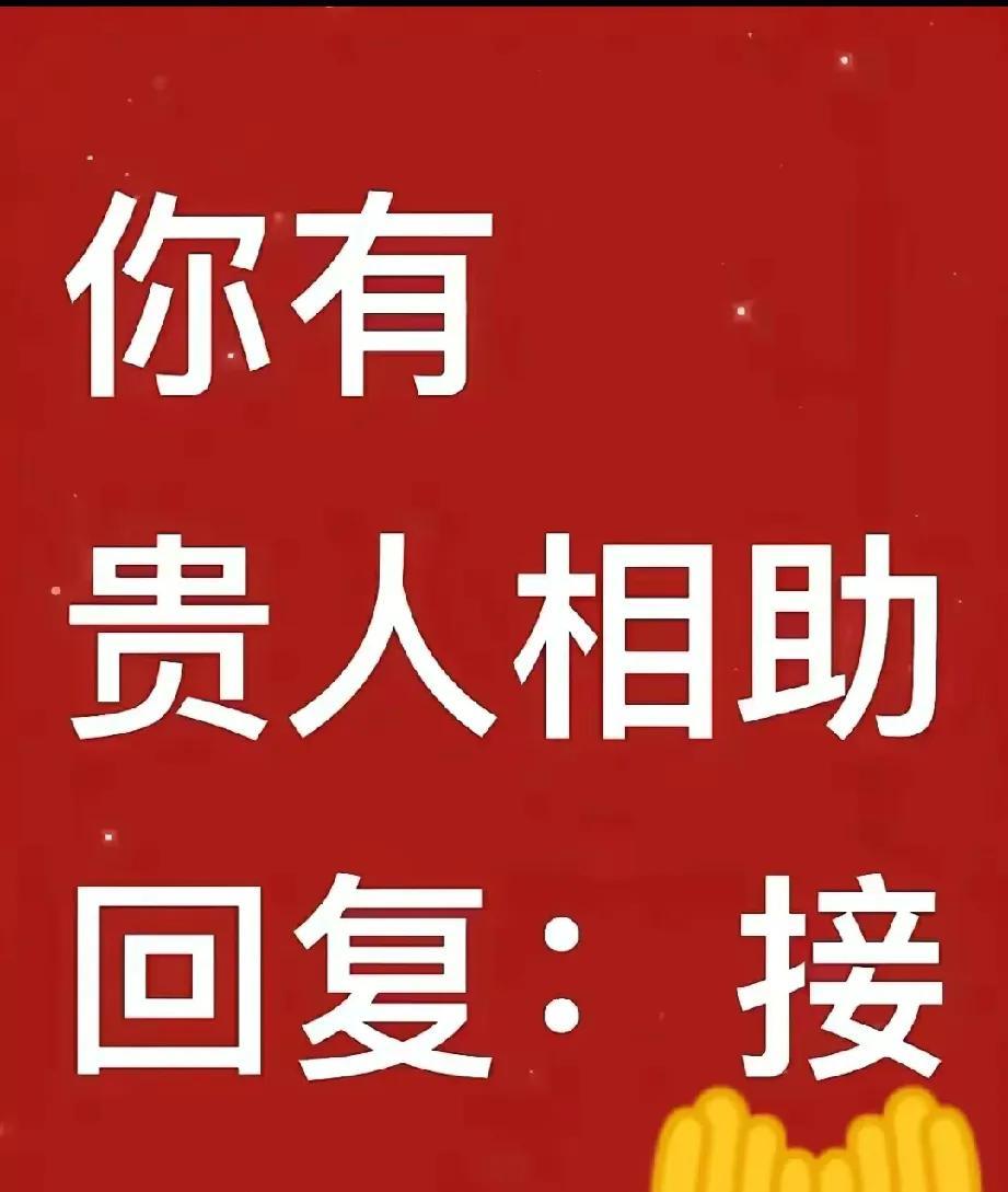 前几天刷到个故事超戳：有个程序员总在加班后给小区流浪猫带吃的，后来猫主人竟是某大