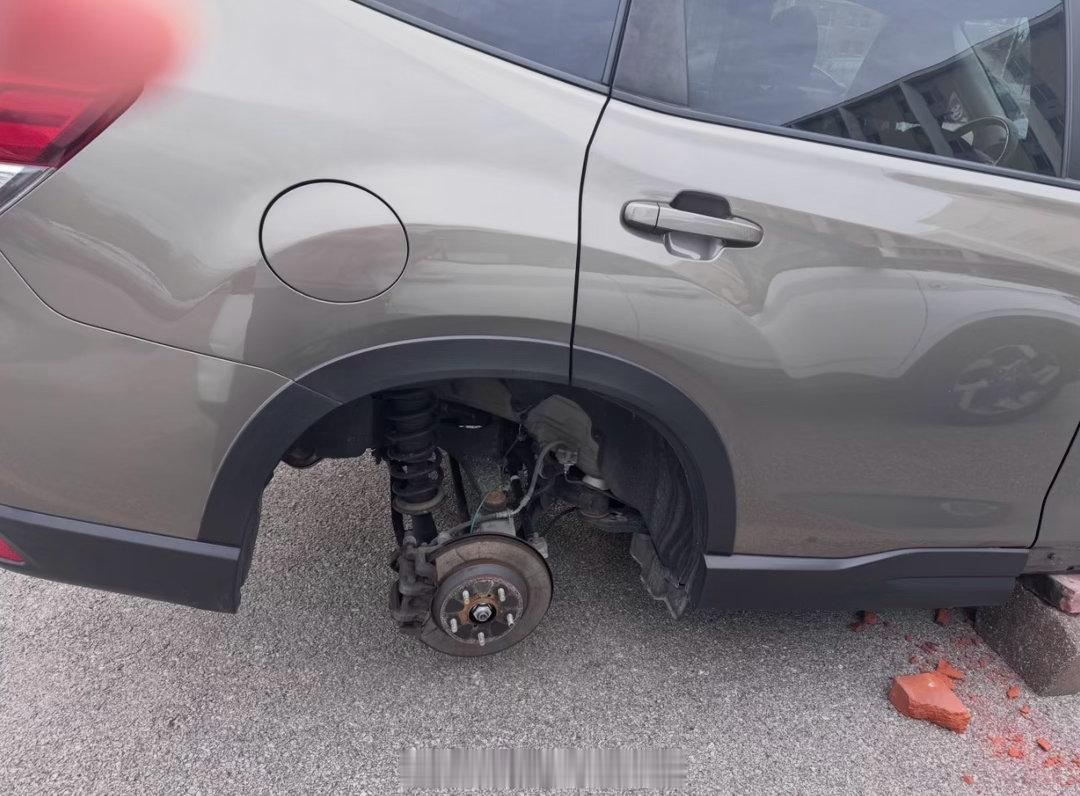 美利坚的风景线～海外新鲜事热点现场