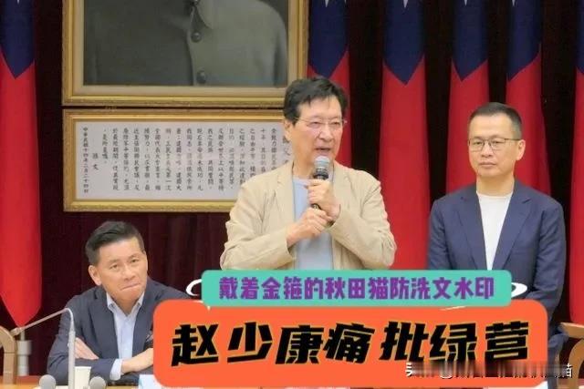 赵少康怒批绿营是历史罪人，直言小学生连岳飞都不认识，这样搞下去怎么得了？（温