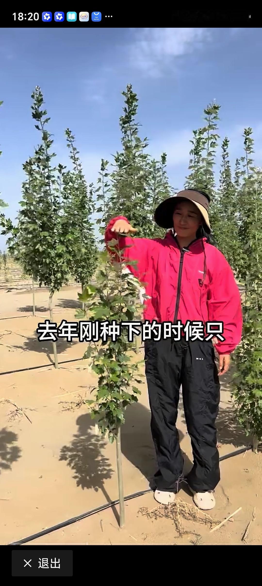 新疆开始向黄沙要收益新疆开始向黄沙要收益，这事儿太牛了！新疆是我国沙化土地面积