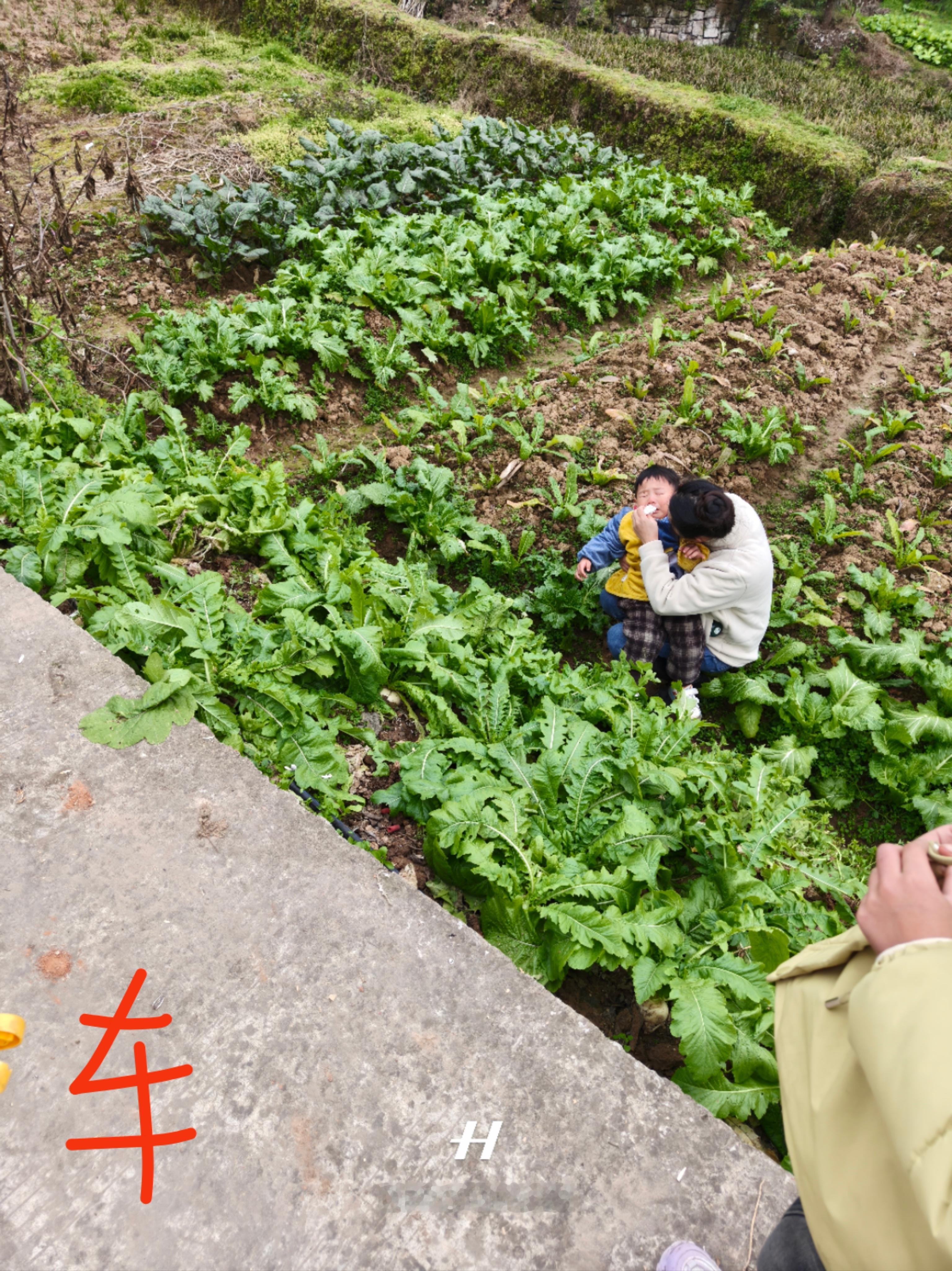 大过年的发生了重大交通事故，我儿摔了个狗吃屎。[笑着哭]