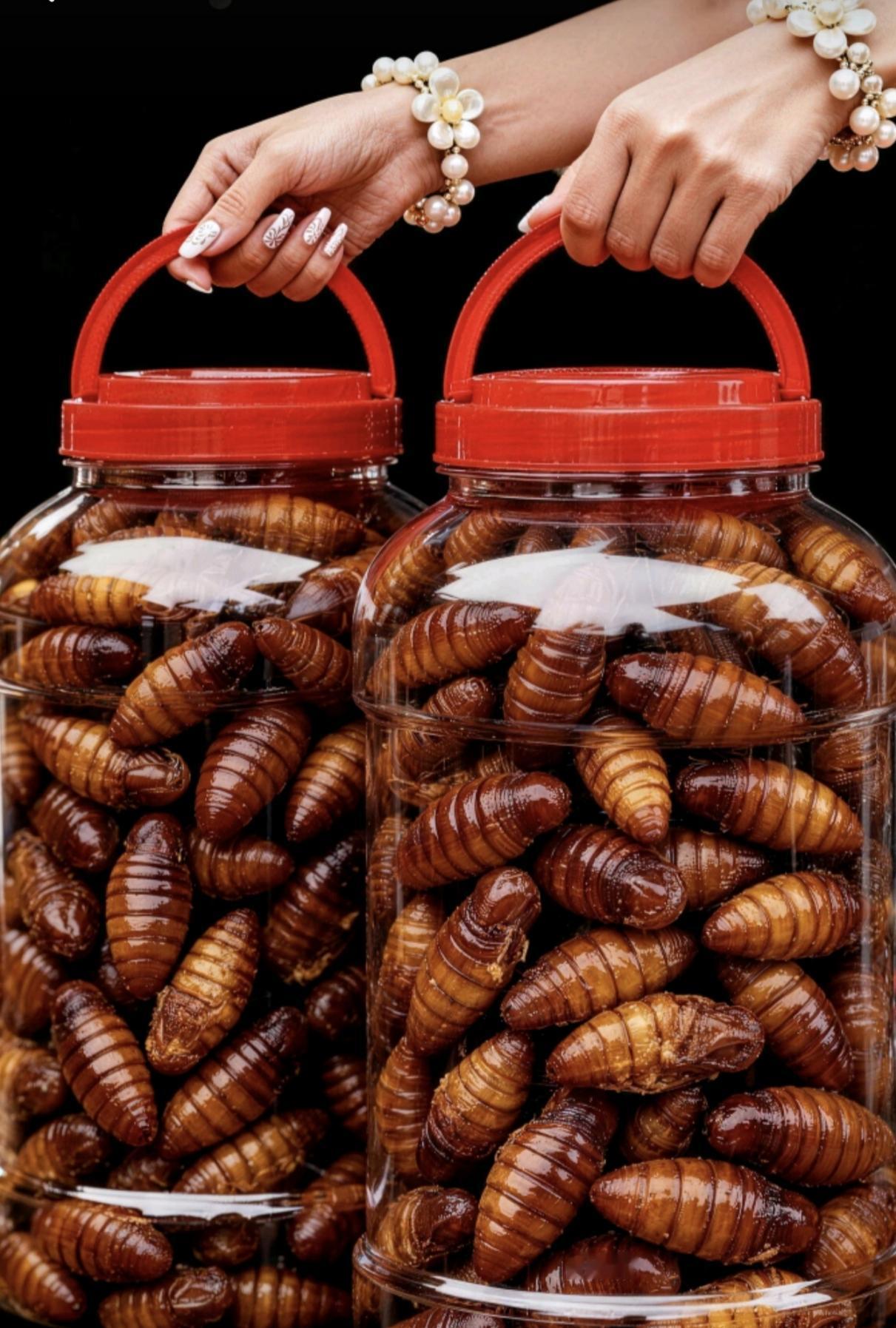 蝉蛹是营养宝还是血脂炸弹？医生揭秘高血脂患者食用禁忌蝉蛹最近又火出圈了！医生