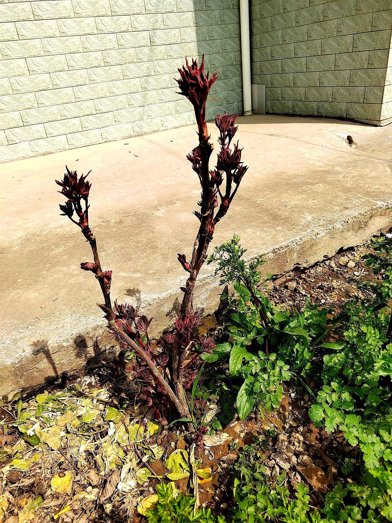 这毛病说出来有点不好意思，但最近真是把我折腾惨了！我今年53岁，喝水就跟开关似