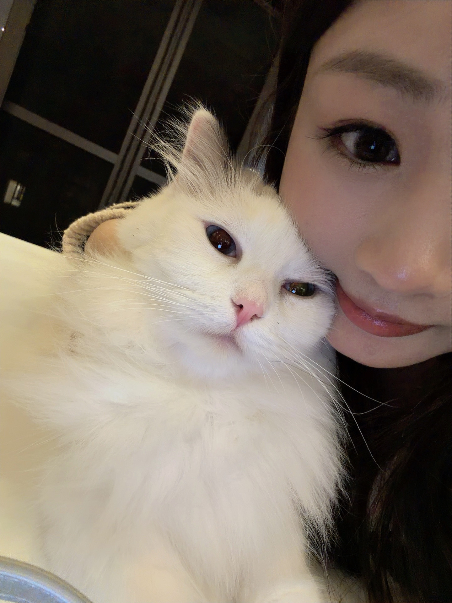 晚安呀​​​