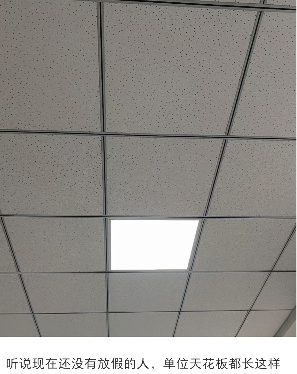 现在还没放假的人单位天花板长这样