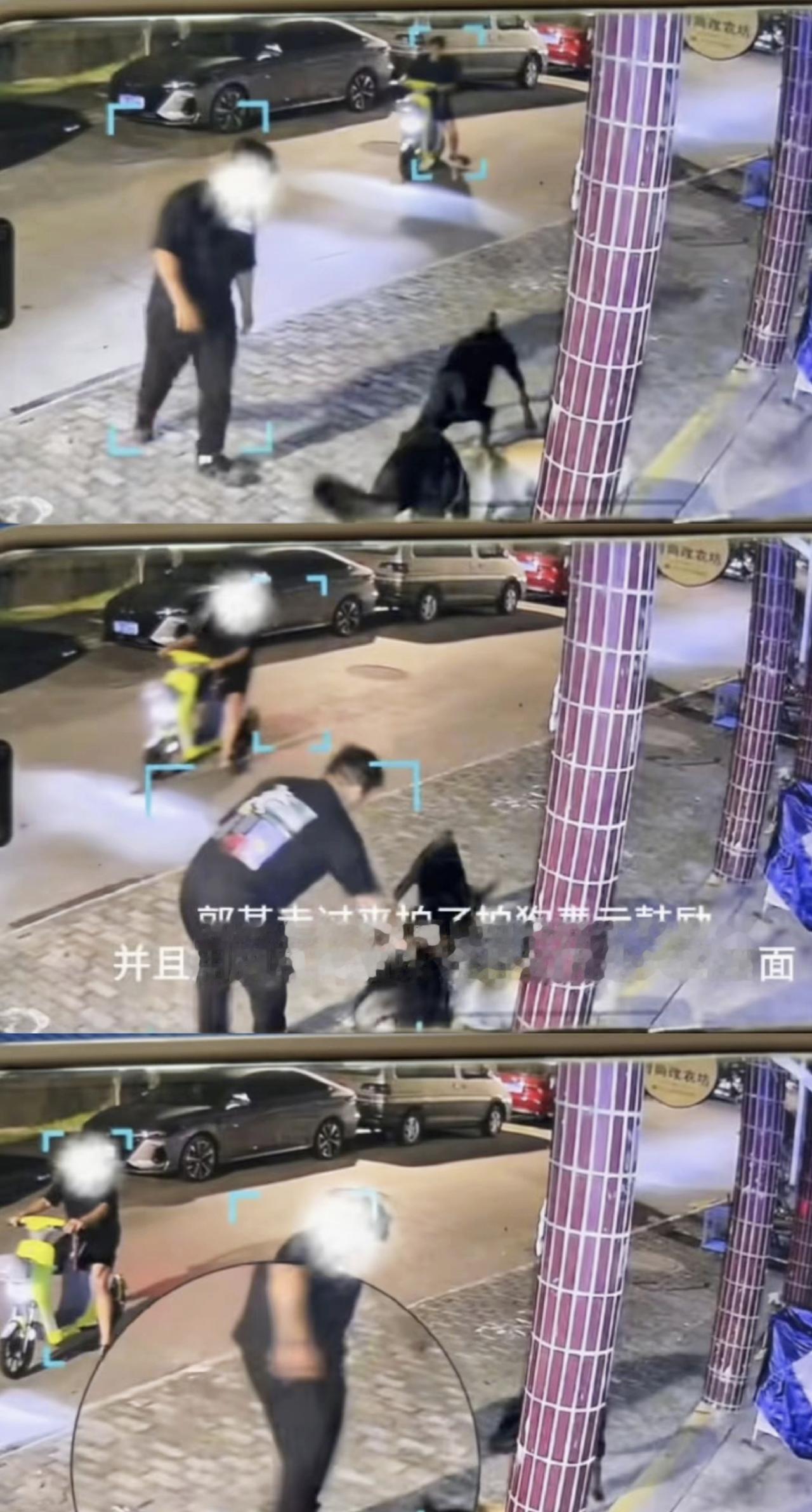 扬州宠物店老板虐杀猫咪，原来是惯犯：1、带头虐猫的宠物店老板郭某，本地人，